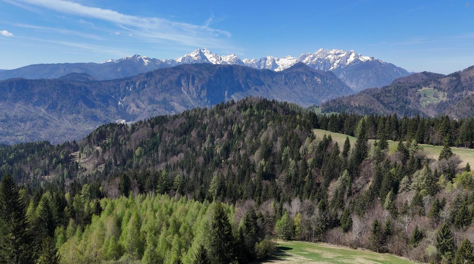 Span Cottage Jesenice Ngoại thất bức ảnh